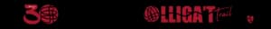Logo de Lligat a la Vida, cliente de Singularity Edge